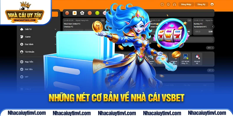 Những nét cơ bản về nhà cái VSBET